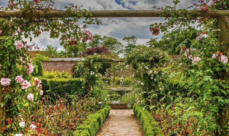 Escape to a peaceful coastal garden