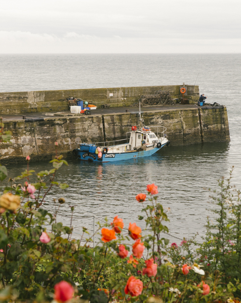 48 Hours on the Northumberland coast!