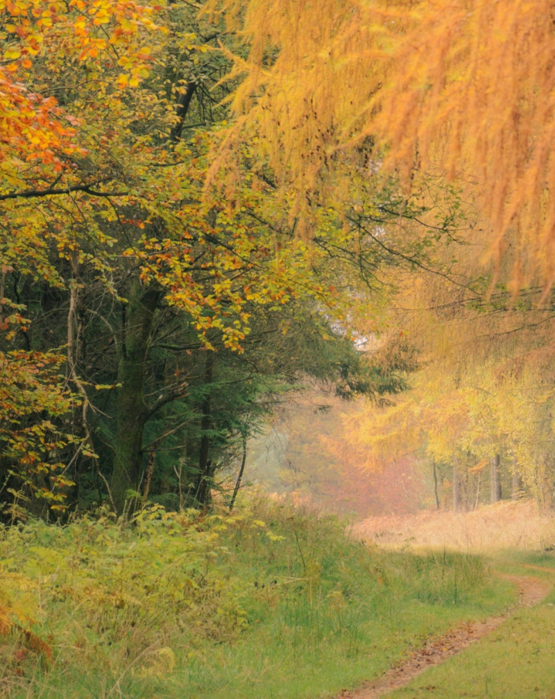 Accessible North York Moors