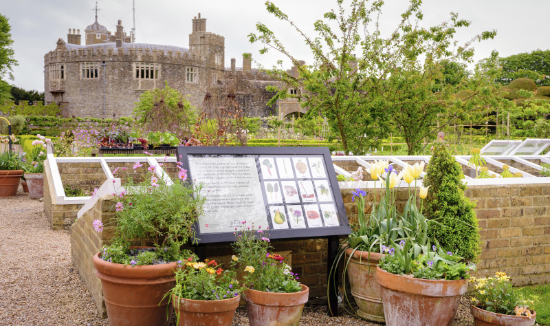 Step into Spring in White Cliffs Country 