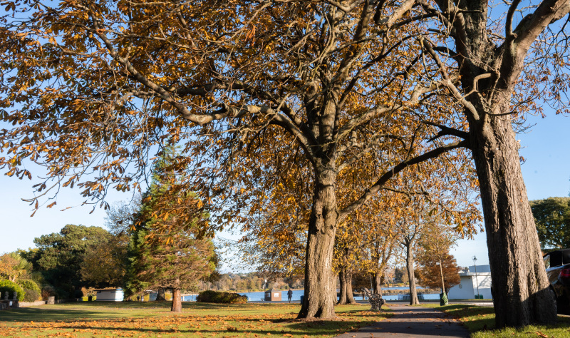 Plan your perfect autumnal getaway to Bournemouth, Christchurch and Poole.