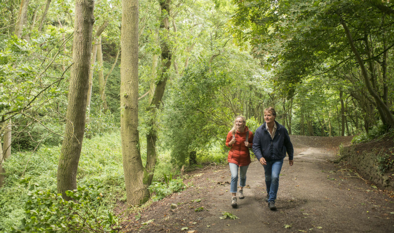 Wrap up for woodland walks and cosy cafes in East Yorkshire  