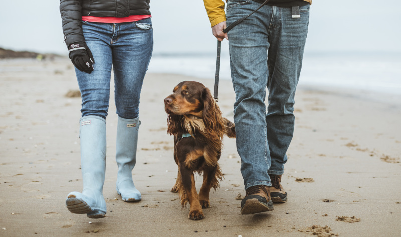 Wrap up for woodland walks and cosy cafes in East Yorkshire  