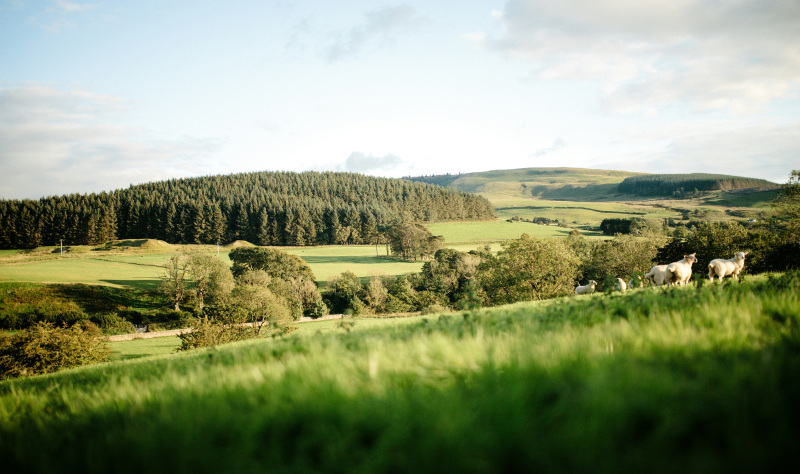 What’s new on England's coast for 2024? 