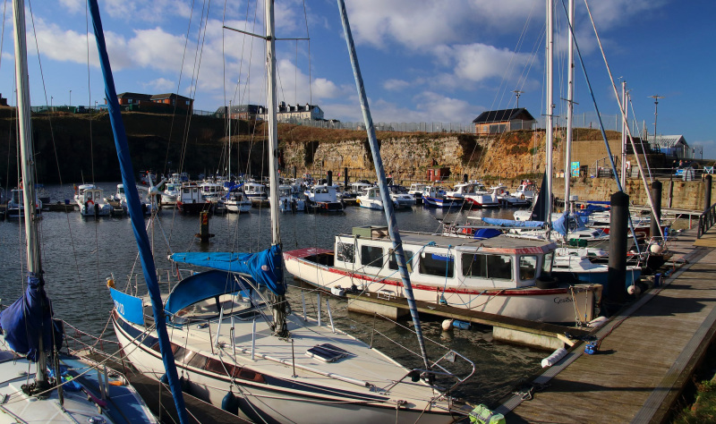 Go Green on England’s Coast 