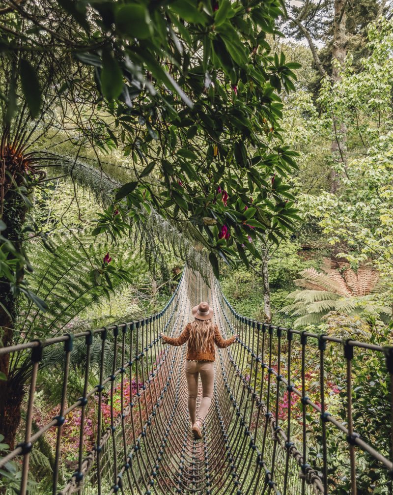 Escape to a peaceful coastal garden