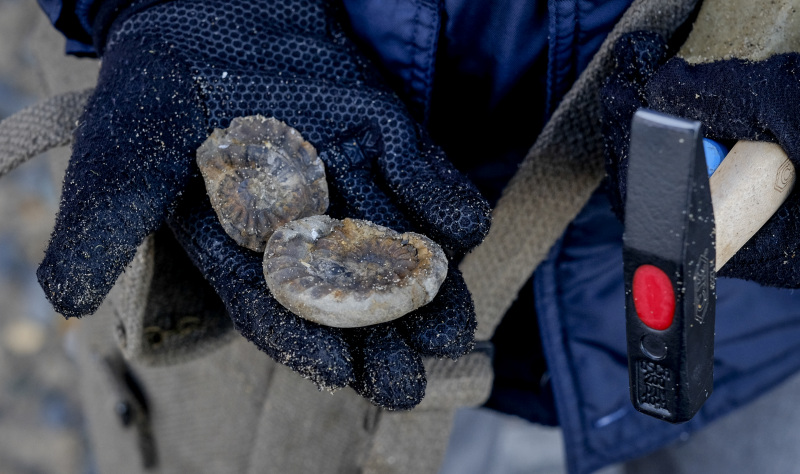 Fossil-hunting on the beach