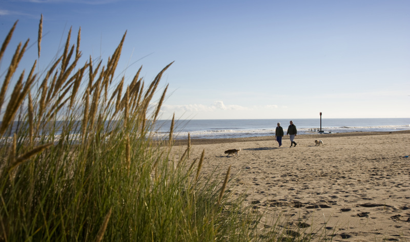 Seaside fun and awesome wildlife on the Lincolnshire coast 