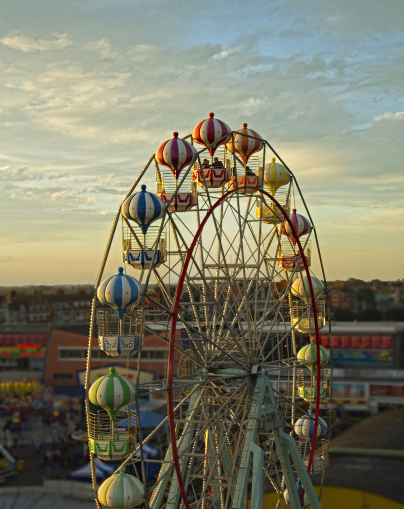 Seaside fun and awesome wildlife on the Lincolnshire coast 