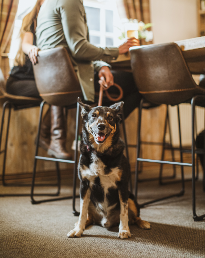 Wrap up for woodland walks and cosy cafes in East Yorkshire  