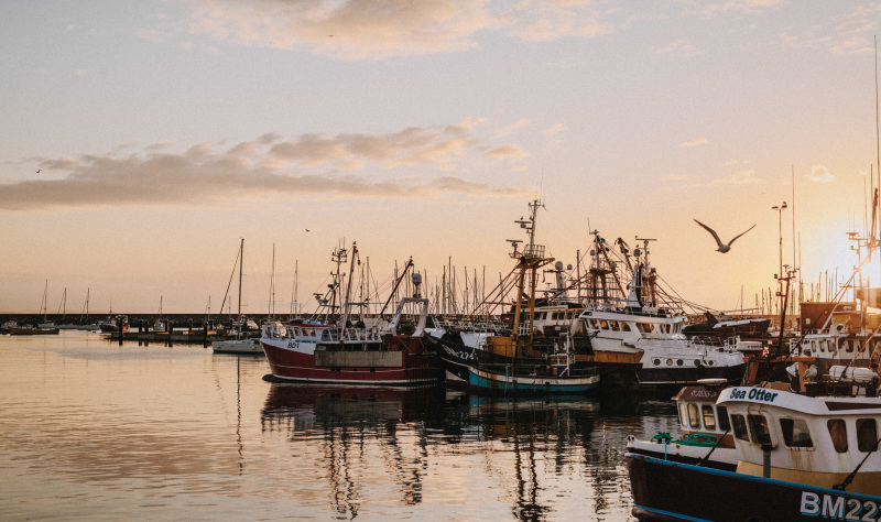 Brixham Fish Market, England's biggest fish auction